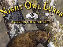 Night Owl Lures