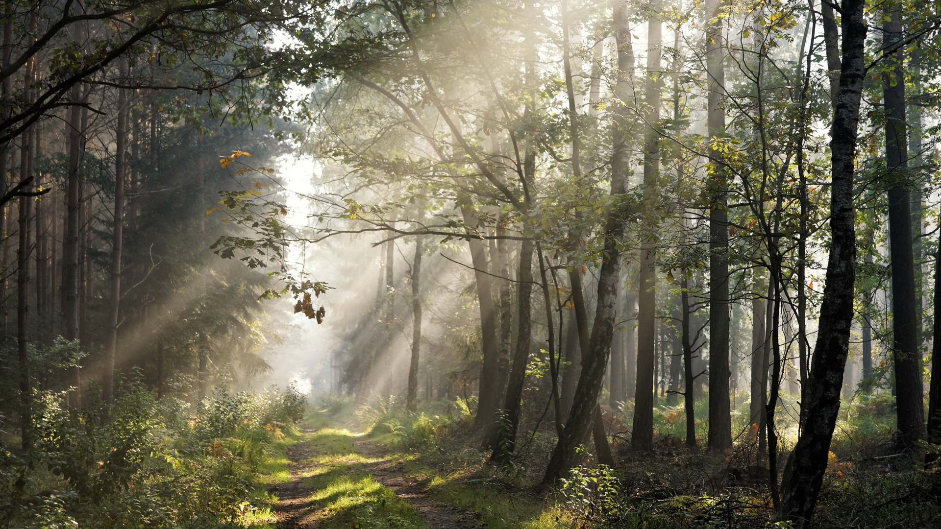 Welcome to the New Home of the Missouri Trappers Association